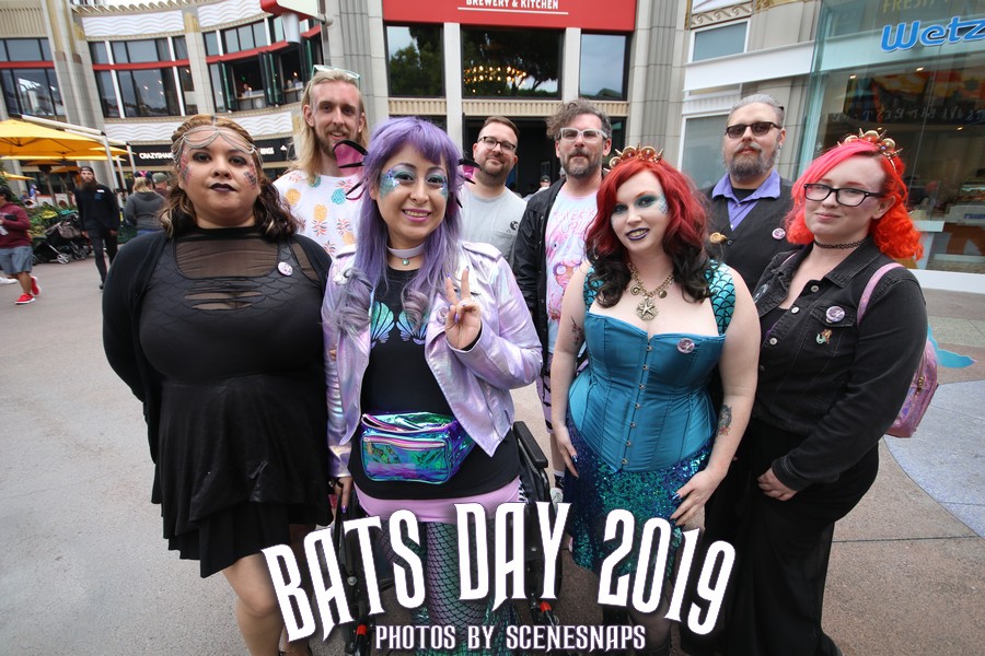 BATS_DAY_2019_0107_P_.JPG