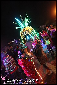 BEQUINOX_2019_LA_BURNING_MAN_REGIONAL_0263_P_.JPG